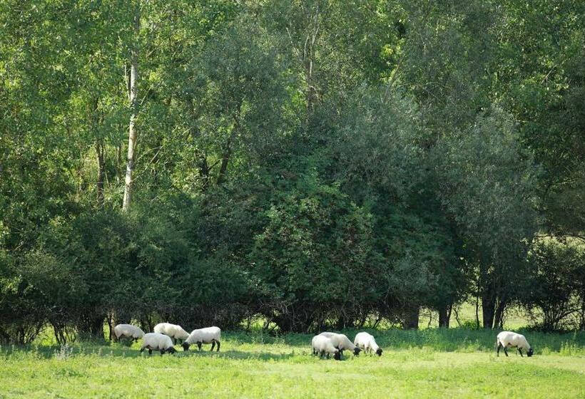 Номер Superior, Auberge Du Parc