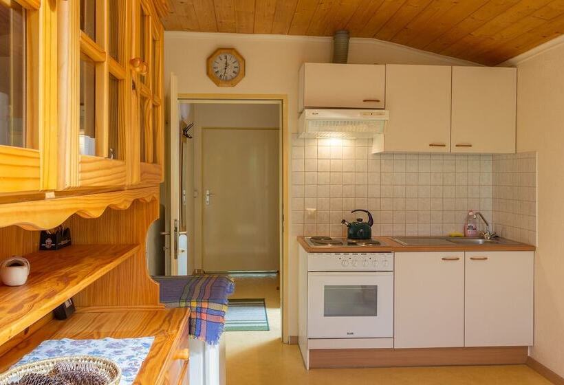 Апартаменты 2 Спальни, Sportland Inn