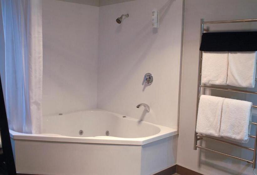 带3个卧室的公寓, Shelby Motor Lodge