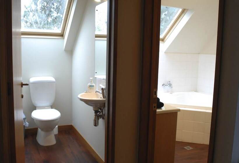 带2个卧室的公寓, Shelby Motor Lodge