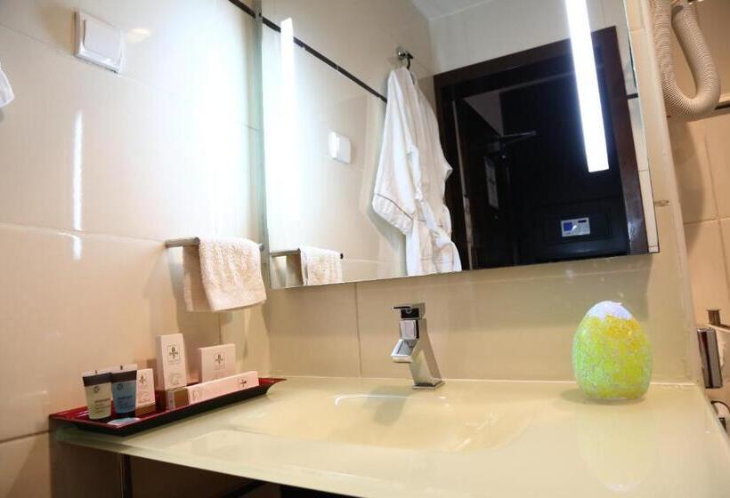 اتاق لوکس یک تخته, Hôtel Fleur De Lys Plateau