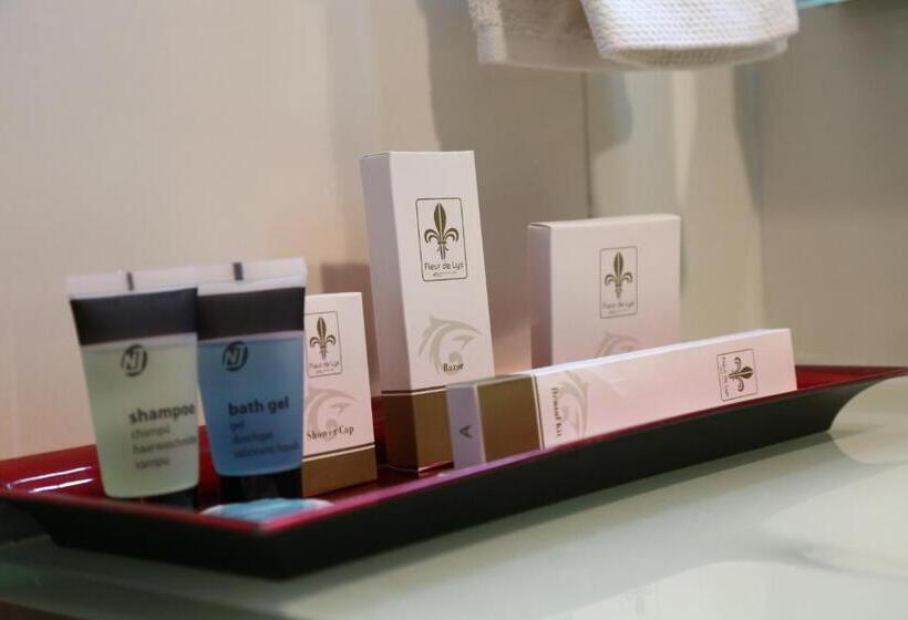 اتاق لوکس یک تخته, Hôtel Fleur De Lys Plateau