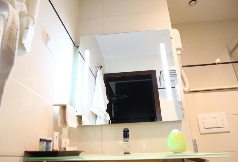 اتاق لوکس یک تخته, Hôtel Fleur De Lys Plateau