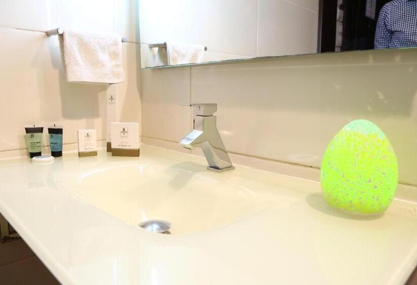 اتاق کلاسیک, Hôtel Fleur De Lys Plateau