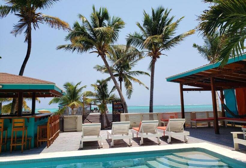 带大床的标准间, Ocean Tide Beach Resort