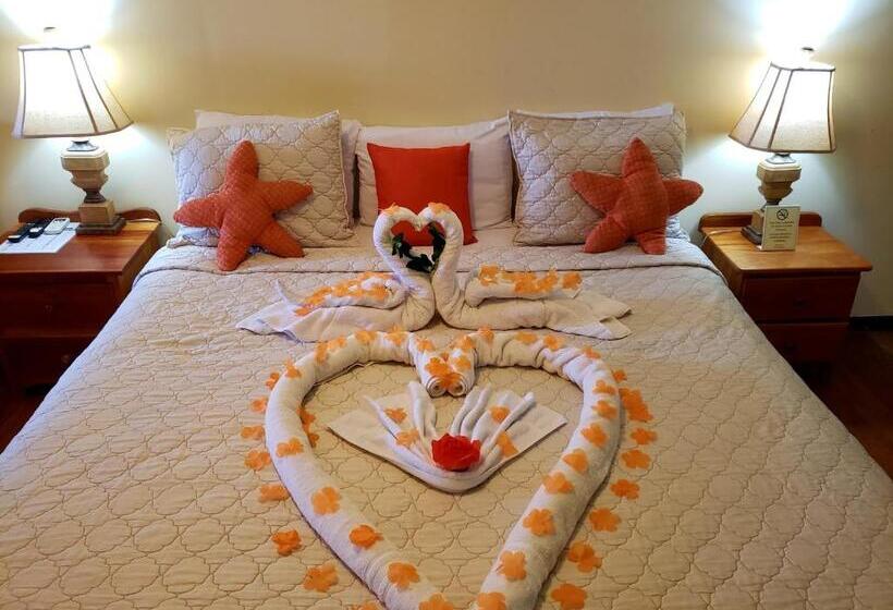 اتاق استاندارد با تخت بزرگ, Ocean Tide Beach Resort