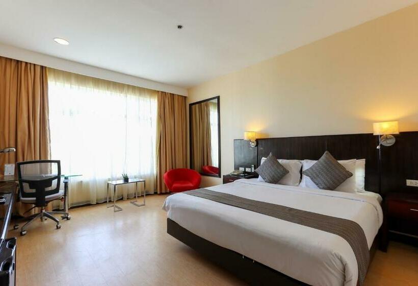 اتاق کلاس بیزنس, Paseo Premiere