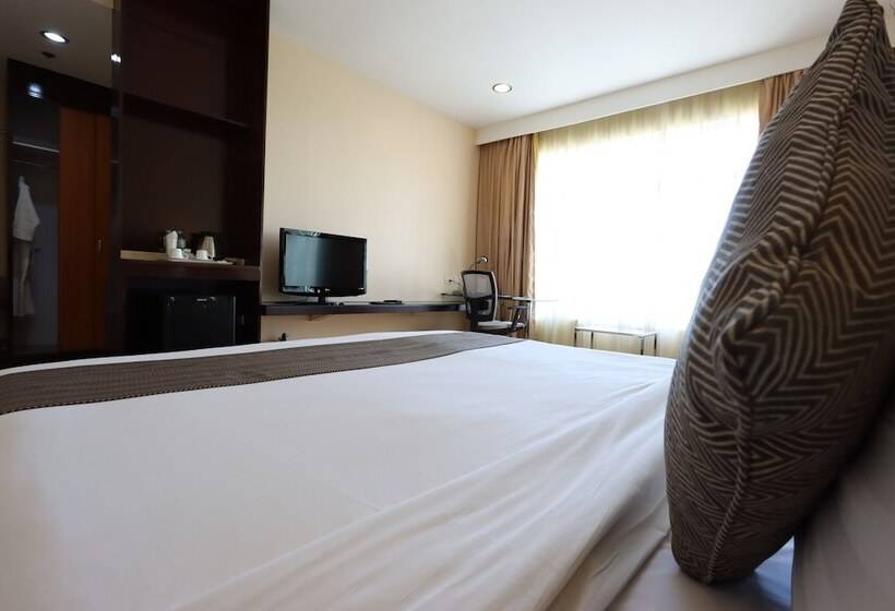 اتاق کلاس بیزنس, Paseo Premiere