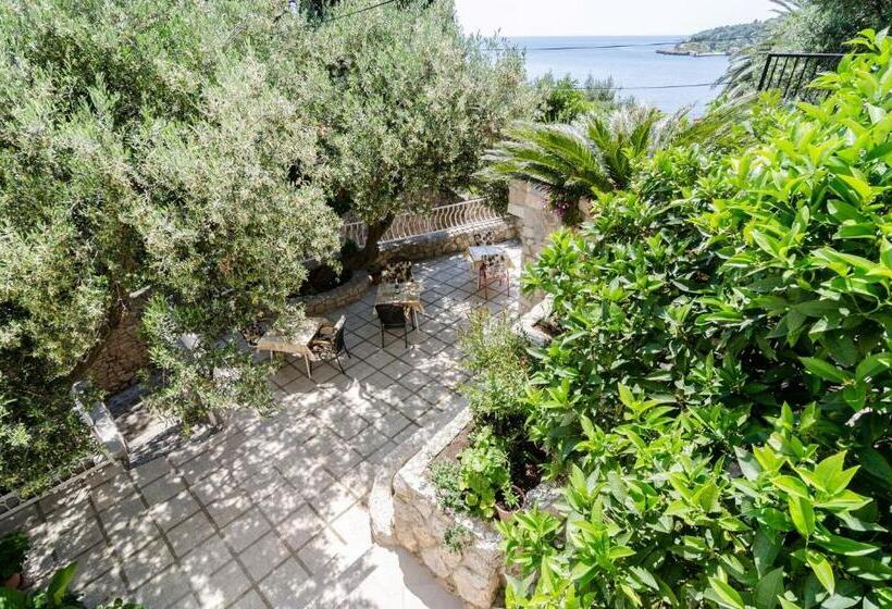 オーシャンビュースタンダードルームバルコニー付き, Guest House Daniela