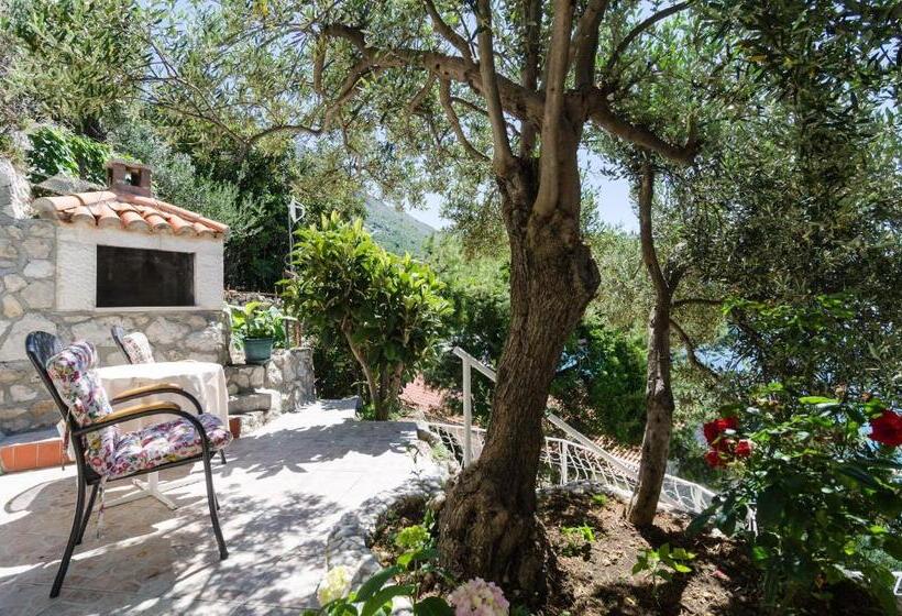 スタンダードルーム, Guest House Daniela