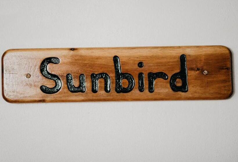 标准间, The Village Lodge