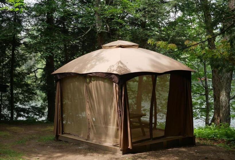 Хижина, Walker Lake Resort