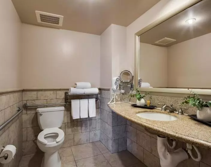 身障者適用キングサイズベッドルーム, Ayres Hotel & Spa Mission Viejo   Lake Forest