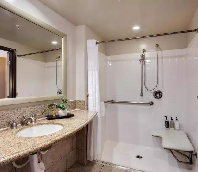 身障者適用キングサイズベッドルーム, Ayres Hotel & Spa Mission Viejo   Lake Forest