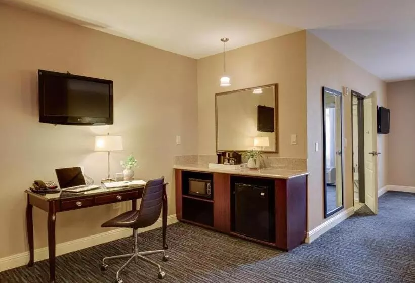 身障者適用キングサイズベッドルーム, Ayres Hotel & Spa Mission Viejo   Lake Forest