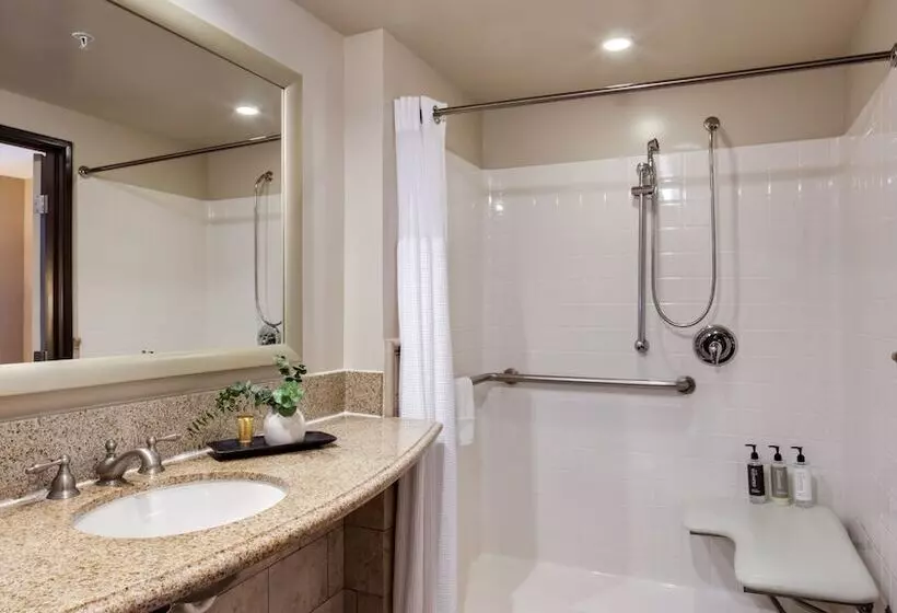 身障者適用キングサイズベッドルーム, Ayres Hotel & Spa Mission Viejo   Lake Forest