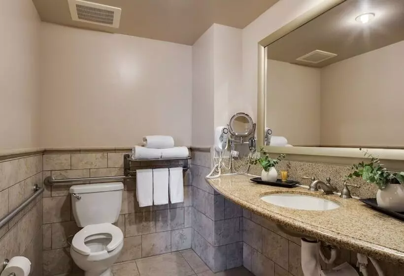 身障者適用キングサイズベッドルーム, Ayres Hotel & Spa Mission Viejo   Lake Forest