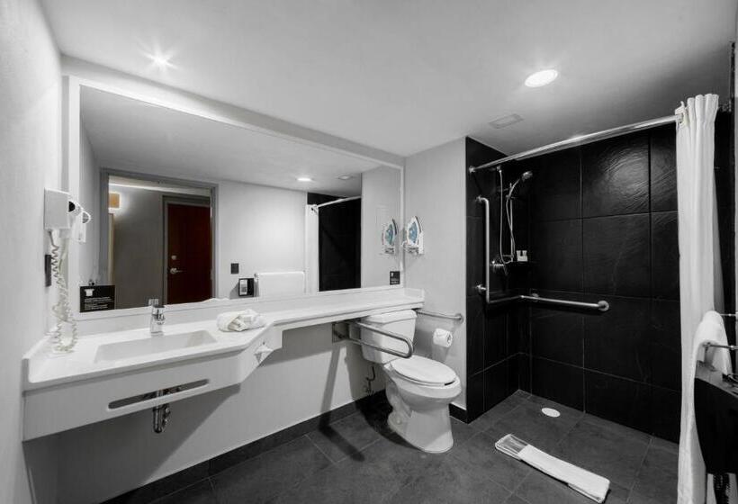 스탠다드 룸, City Express Plus By Marriott Guadalajara Palomar