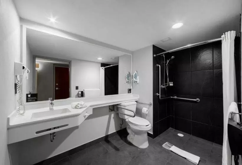 スタンダードルーム, City Express Plus By Marriott Guadalajara Palomar