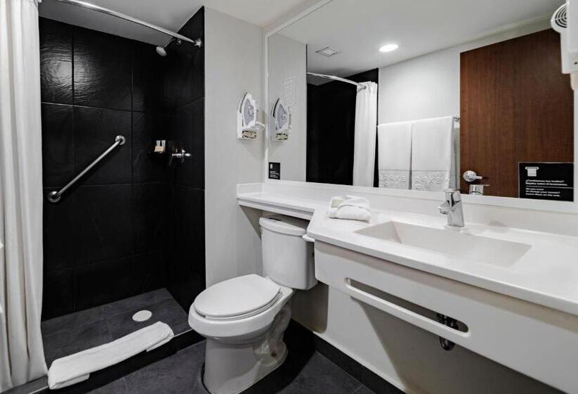 Номер Стандарт 2 Двуспальные Кровати, City Express Plus By Marriott Guadalajara Palomar