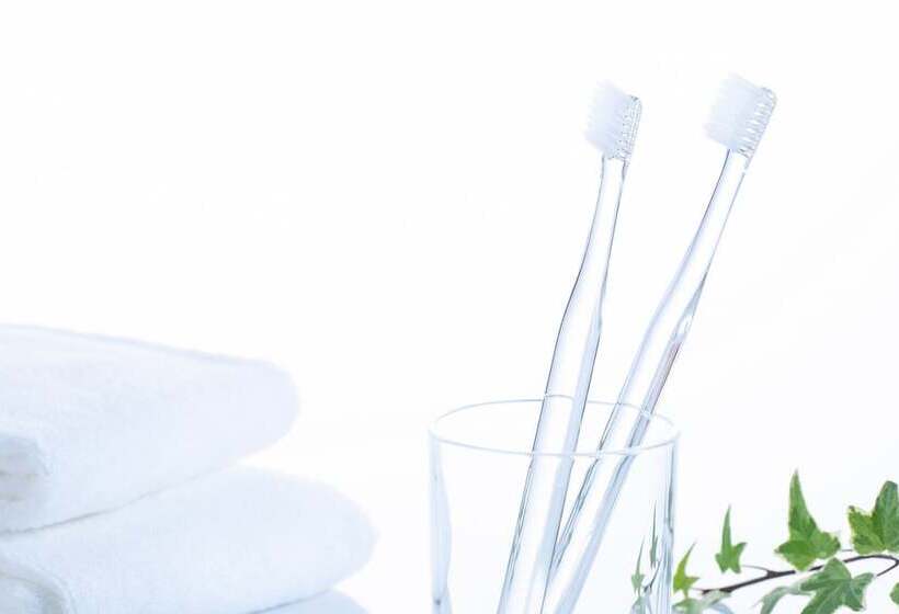 스탠다드 룸, Comfort Hotel Hamamatsu