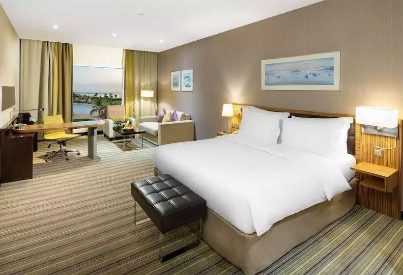 اتاق اجرایی, Radisson Blu Resort Jizan