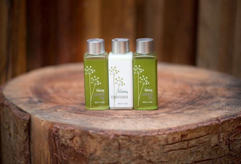 Номер Executive, Ren Resort