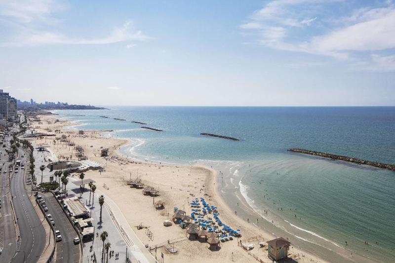 スタンダードルーム, Skianthion