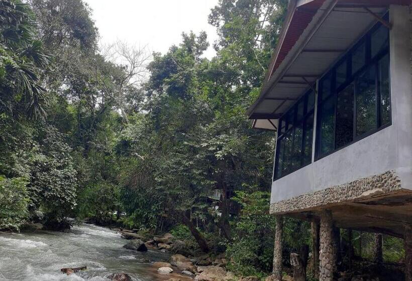 标准间带山景, Tree Tops River Huts