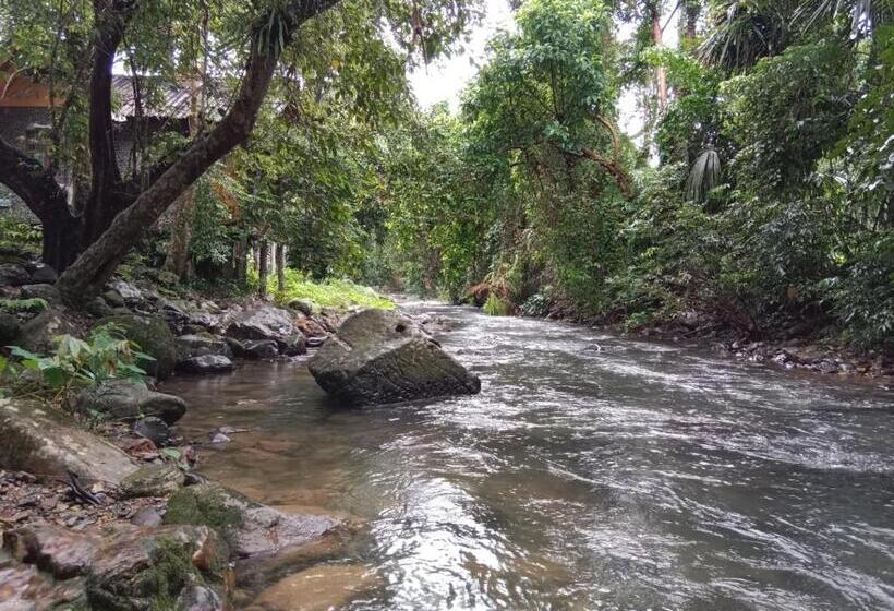 Номер Стандарт Вид на Горы, Tree Tops River Huts