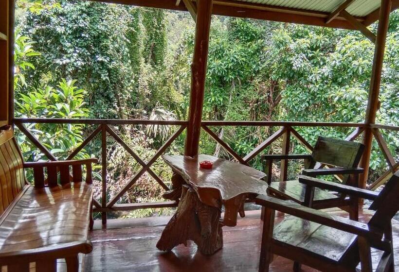 Бунгало Стандарт Вид на Сад, Tree Tops River Huts