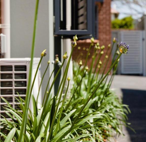 شقة ديلوكس غرفتين نوم, Hamilton On Everton