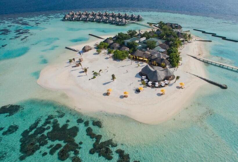 ویلای 1 خوابه, Drift Thelu Veliga Retreat