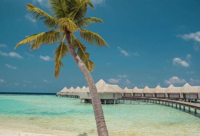 ویلای 1 خوابه, Drift Thelu Veliga Retreat