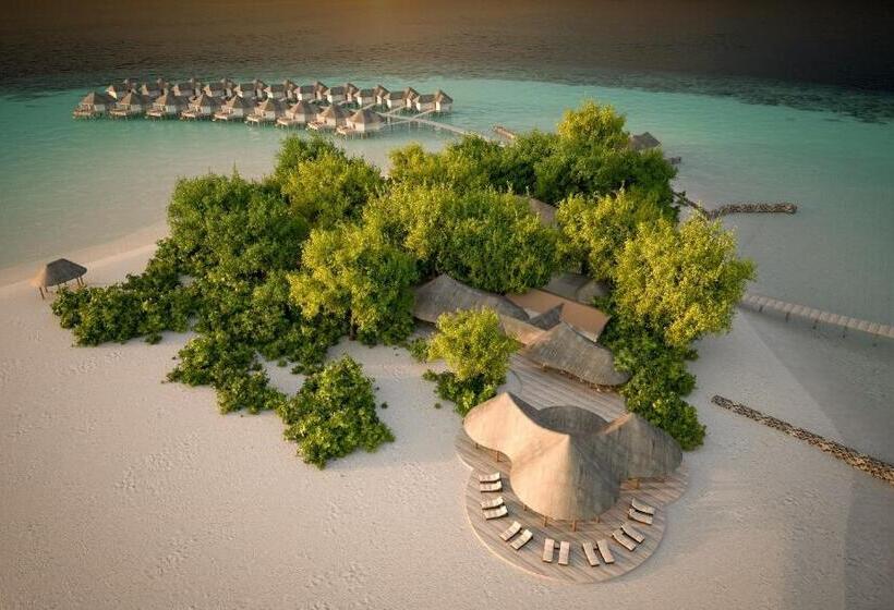 ویلای 1 خوابه, Drift Thelu Veliga Retreat