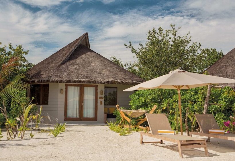 ویلای 1 خوابه, Drift Thelu Veliga Retreat