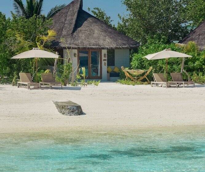 ویلای 1 خوابه, Drift Thelu Veliga Retreat