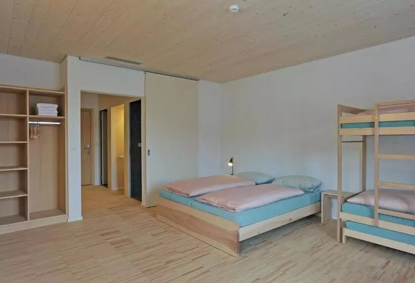 اتاق استاندارد یک نفره, St. Moritz Youth Hostel