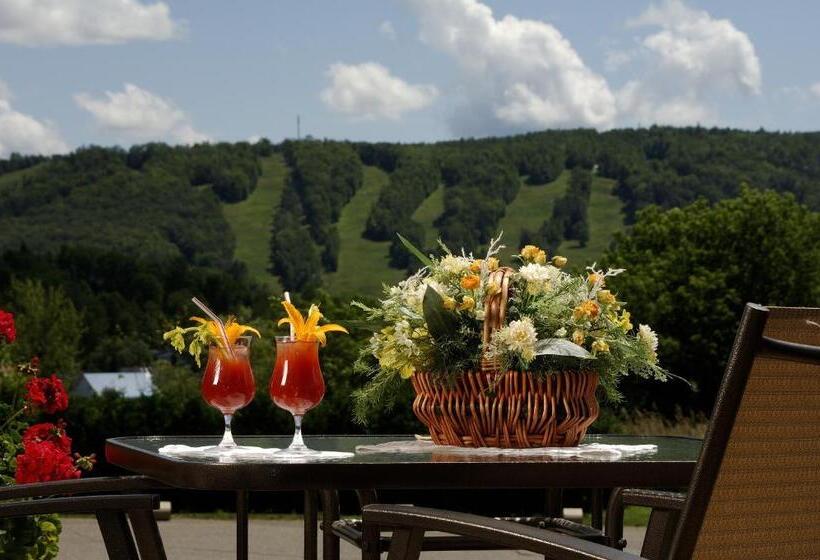 标准间带山景, Motel Le Jolibourg