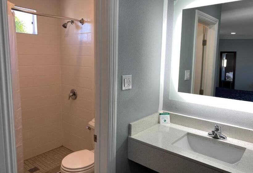 Стандартный Номер Кровать Кинг, Regency Motel
