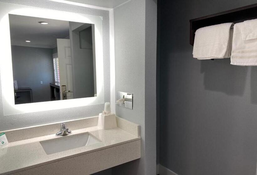 带大床的标准间, Regency Motel