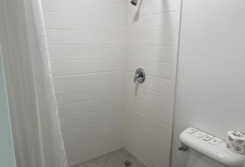 Номер Deluxe Одноместный, Regency Motel