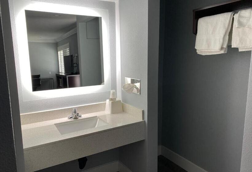 豪华单人间, Regency Motel