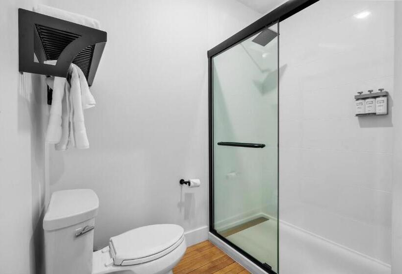 스탠다드 룸, The Literary