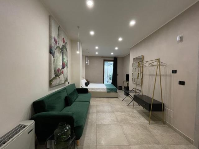 סוויטת ג'וניור עם טרסה, Opuntia Rooms