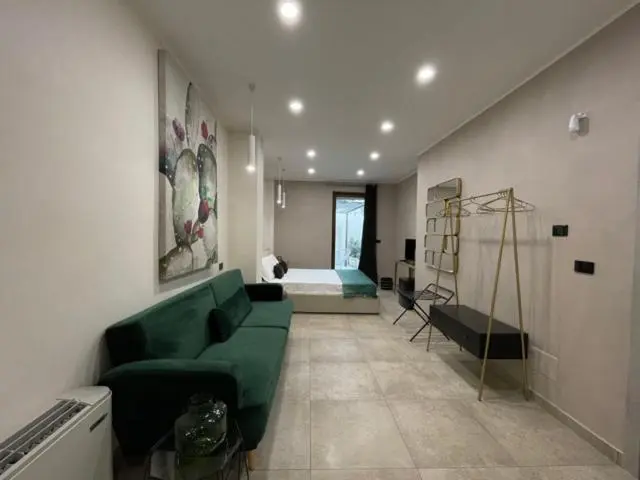 سوئیت جونیور با تراس, Opuntia Rooms