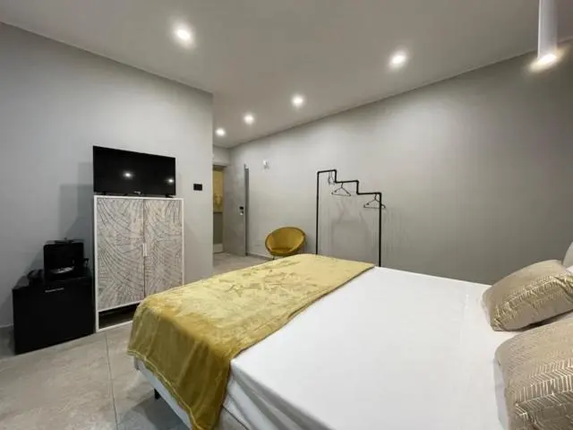 اتاق استاندارد با تخت بزرگ برای معلولان, Opuntia Rooms