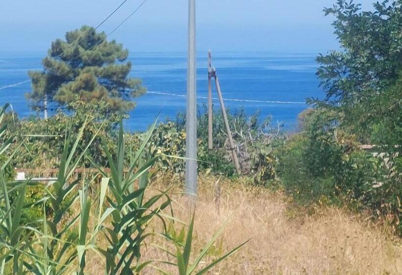 اتاق استاندارد با بالکن, Blue Marine   Free Parking