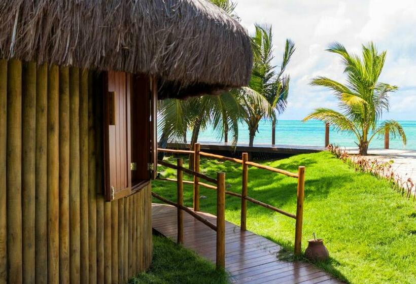 标准平房, Carneiros Paradiso