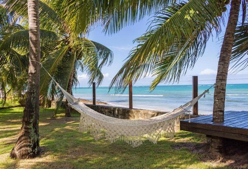 标准平房, Carneiros Paradiso